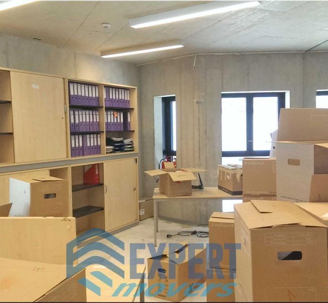 ΜΕΤΑΦΟΡΕΣ ΕΠΑΓΓΕΛΜΑΤΙΚΩΝ ΧΩΡΩΝ